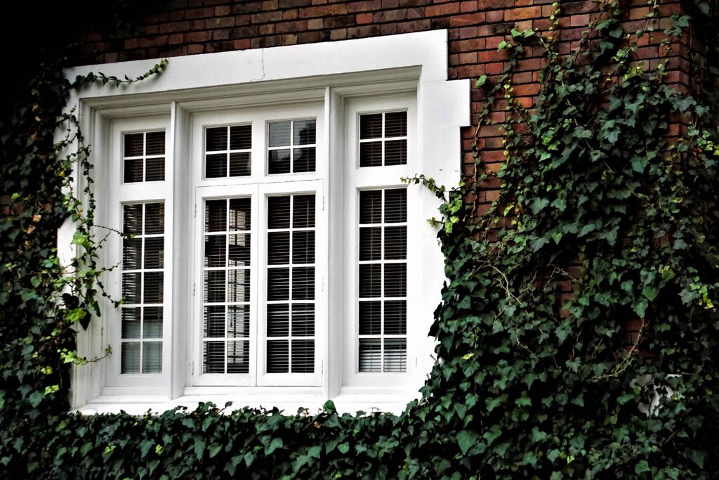 Cottage Windows Services