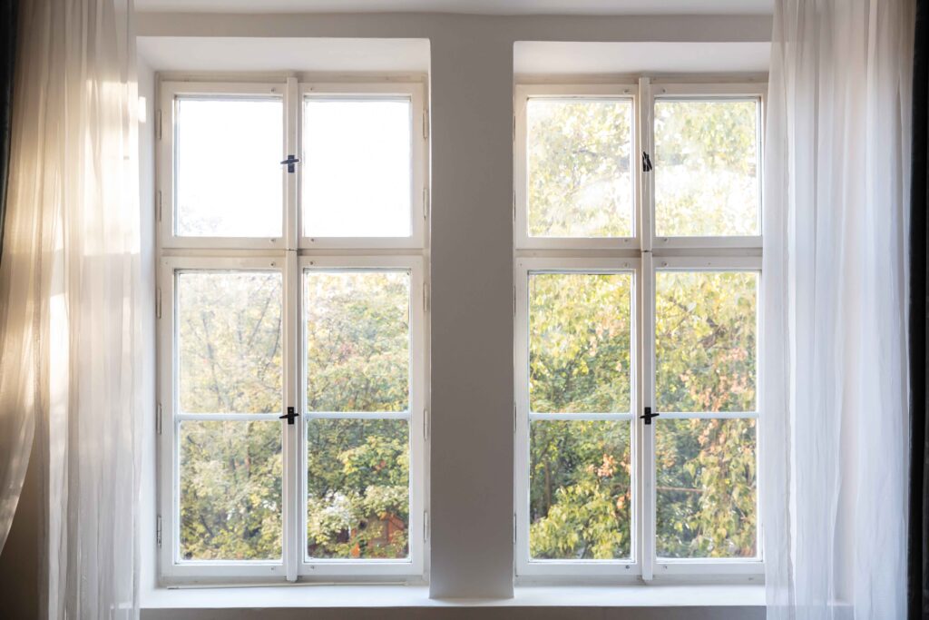 Double Glazing Windows Services